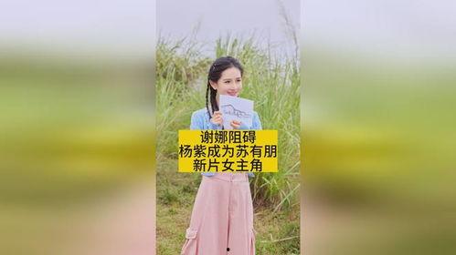 苏有朋最新爆料杨紫新剧,杨紫新剧来袭!苏有朋最新爆料揭秘剧情看点