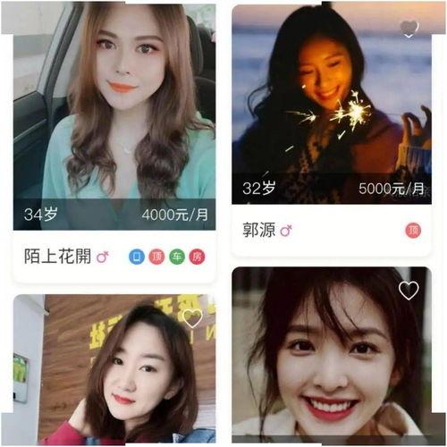 濮网最新爆料,揭秘神秘事件背后真相!
